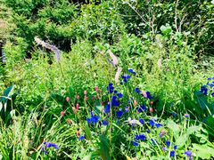 -白草畔自然风景区