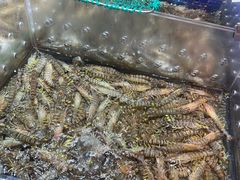 -高佳庄·舟山海鲜(海景旗舰店)