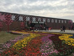 -万顷园艺世界