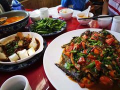 -生态苑农庄(十里画廊遇龙河店)