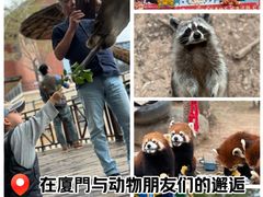 -灵玲国际马戏城