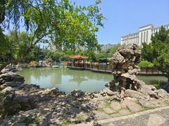 -西苑公园