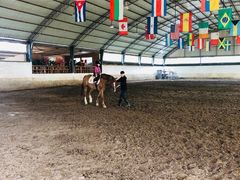 -月河湾马术俱乐部(朝阳店)