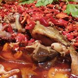 开源齐庆美蛙
