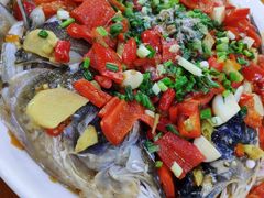 -全乐鱼馆·淳牌有机鱼直营店