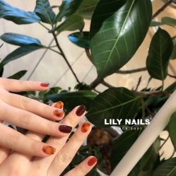 -LILY NAILS美甲美睫