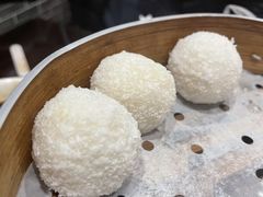 糯米糍-鸡鸣汤包(红山动物园店)