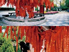-中国翰园碑林