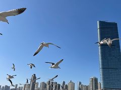 -星海广场