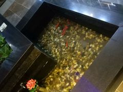 -碧露轩·大益茶体验馆(镇江路店)
