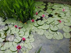 android_upload_pic-檀园