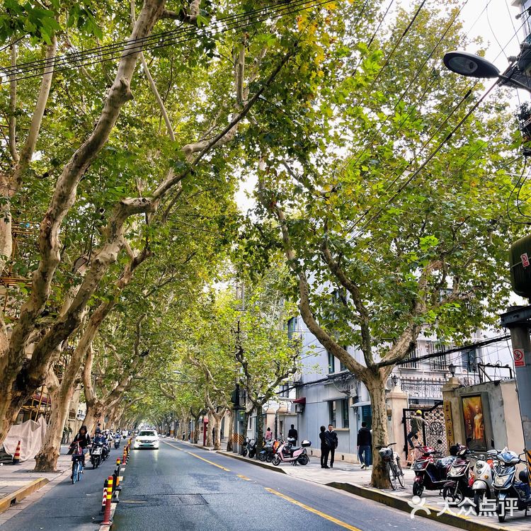 小狐来了｜上海篇｜地标打卡地，大名鼎鼎的武康路有些什么～🤔