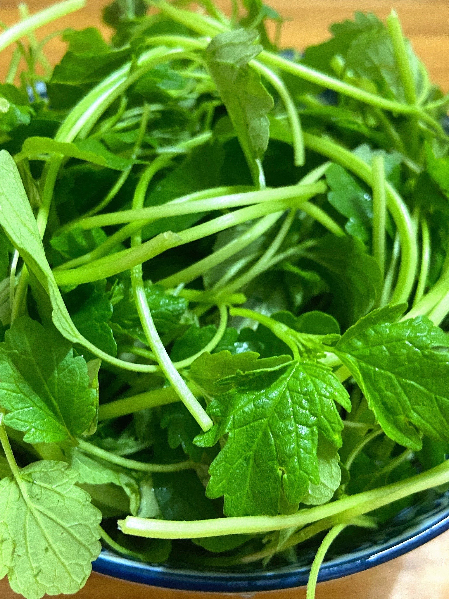 潮汕人的宝藏草