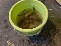 -小象钓虾·营地烧烤(洛溪店)