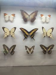 -酷嗒动物文化乐园(cutezoo西溪乐天城店)