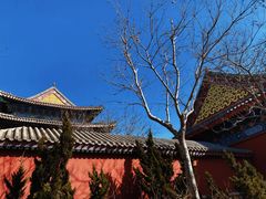 -天津妈祖文化园