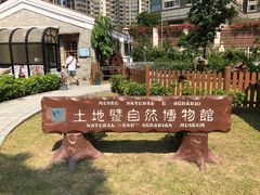 -石排湾郊野公园