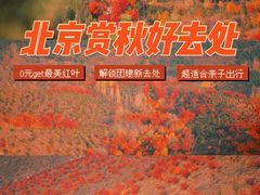 -沉浸北京·团建旅行·密室剧本杀·年会会议轰趴拓展