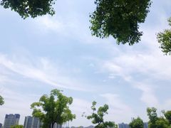 -麦当劳(塔园路店)