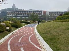 -铁山坪森林公园