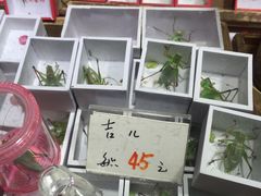 -万商花鸟市场