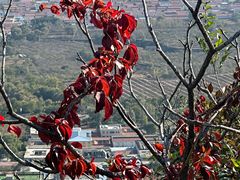 -玉渡山自然风景区