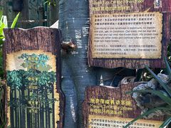-香港海洋公园