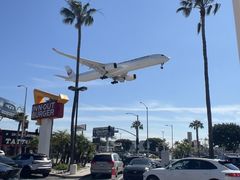 -In-N-Out Burger(LAX)