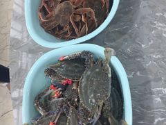 -一号码头蒸汽海鲜自助