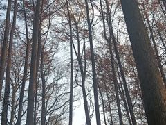 -波尔登森林公园