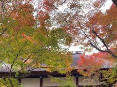 -常寂光寺