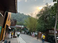 -野象谷景区