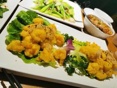 -三猫黑鱼花(南大店)