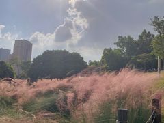 -红花山公园