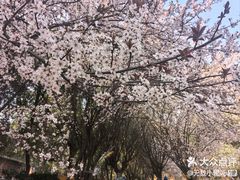 -石燕湖生态旅游景区