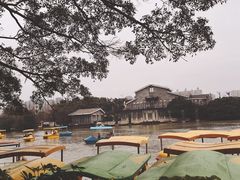 -江心屿景区