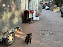 -王中王刨冰