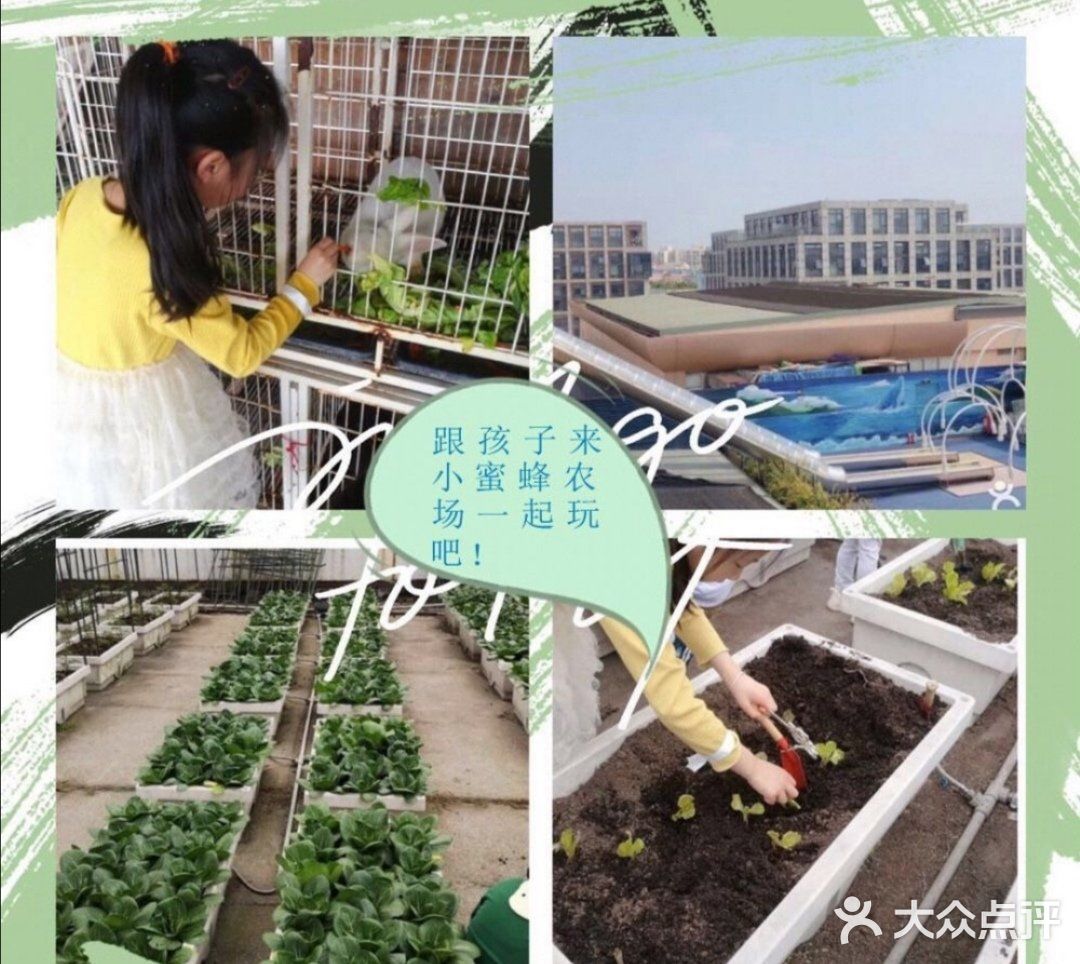 小朋友的放电指南-[吐]小蜜蜂农村[吐]