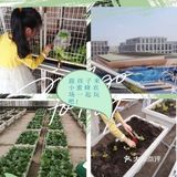 小朋友的放电指南-[吐]小蜜蜂农村[吐]