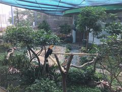 -九龙公园