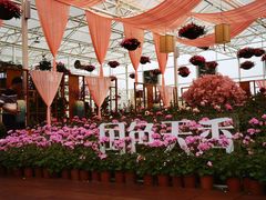-盈香心动乐园