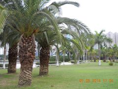 景点-白鹭洲公园