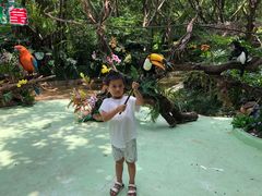 -大信·云顶星河游乐王国