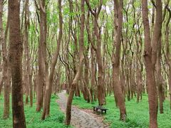 -同里国家湿地公园