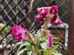 -一江春水·杭帮臻宴(三台山店)