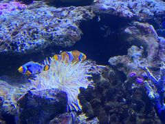 -大连老虎滩海洋公园