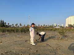 -北海金海湾红树林生态旅游区