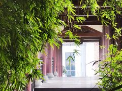 -张坝桂圆林公园
