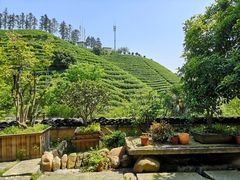 -心无尘茶餐馆(径山村店)