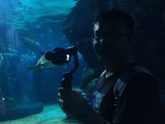 -暹罗海洋世界